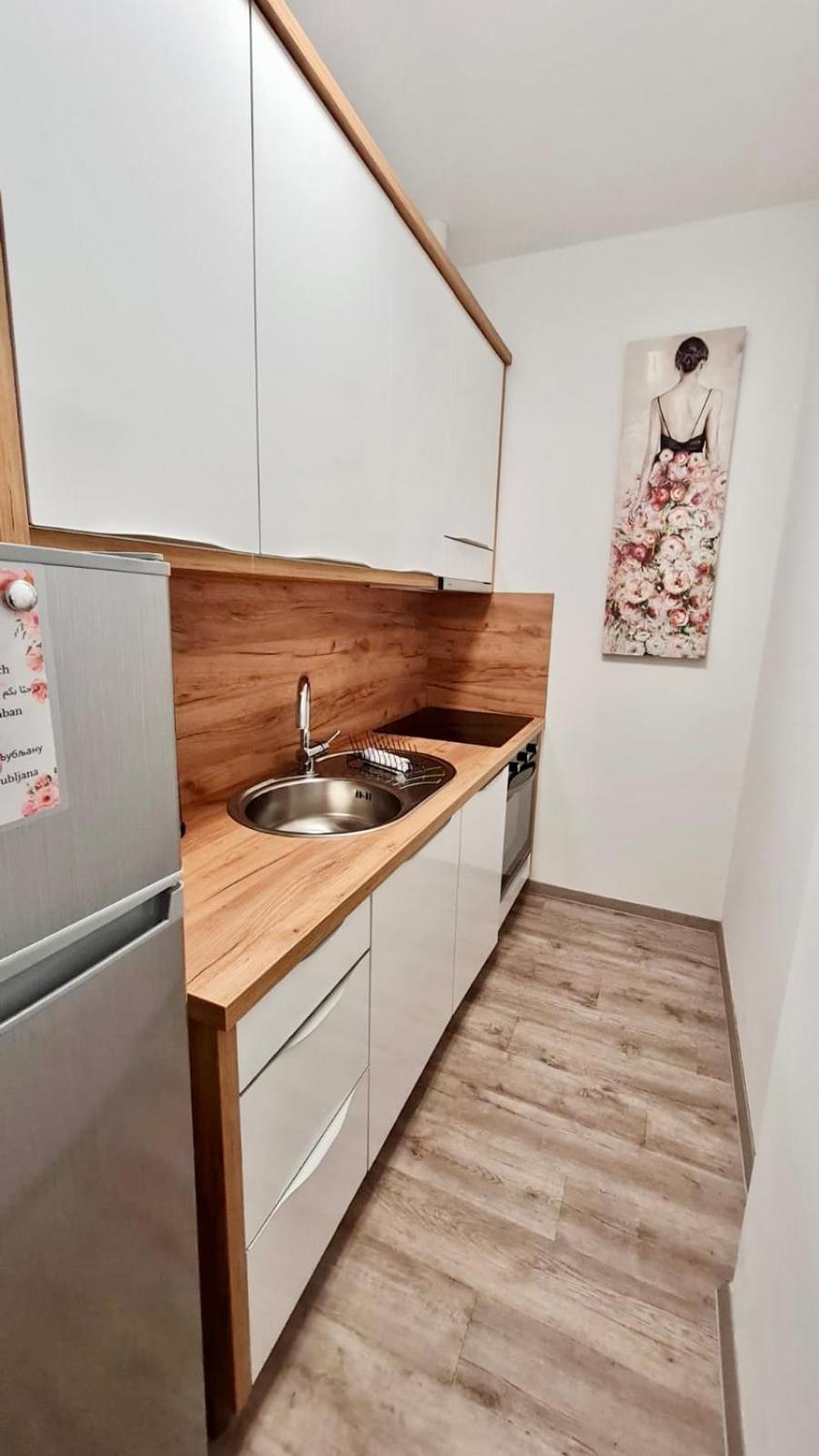 Ljubljana Central Lux Apartment With Free Parking Kültér fotó